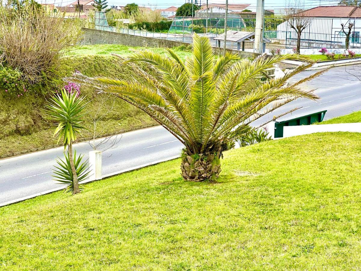 Ginetes Casa Quinta Das Ferias المظهر الخارجي الصورة